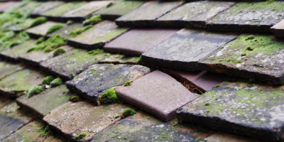 Holybrook roof repair costs